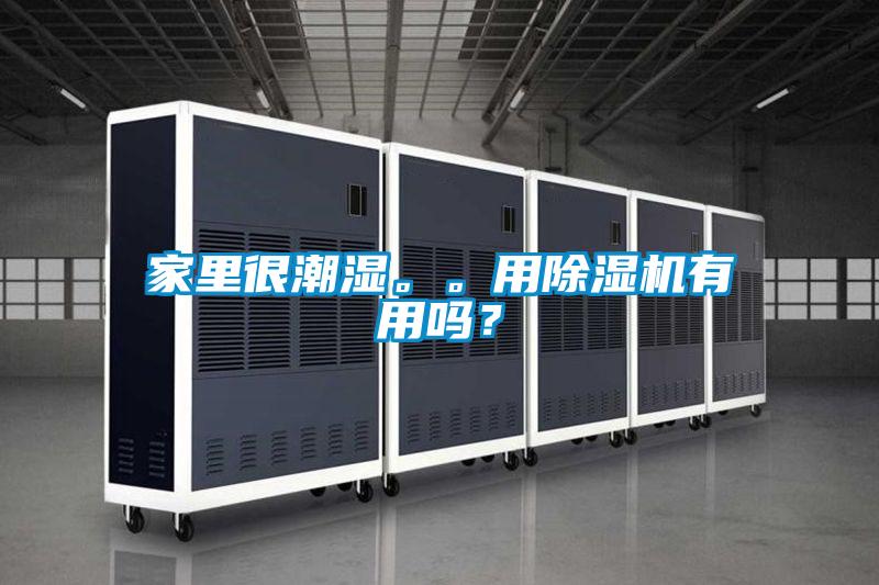 家里很潮濕。。用除濕機有用嗎？