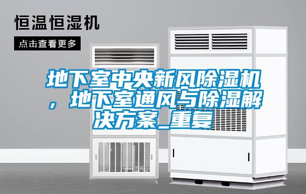 地下室中央新風(fēng)除濕機(jī)，地下室通風(fēng)與除濕解決方案_重復(fù)