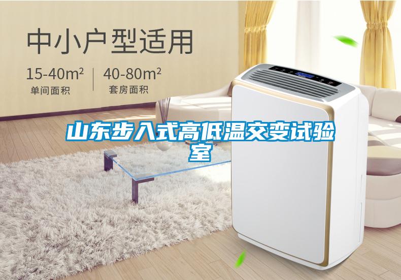 山東步入式高低溫交變?cè)囼?yàn)室