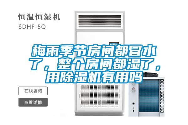 梅雨季節房間都冒水了，整個房間都濕了，用除濕機有用嗎