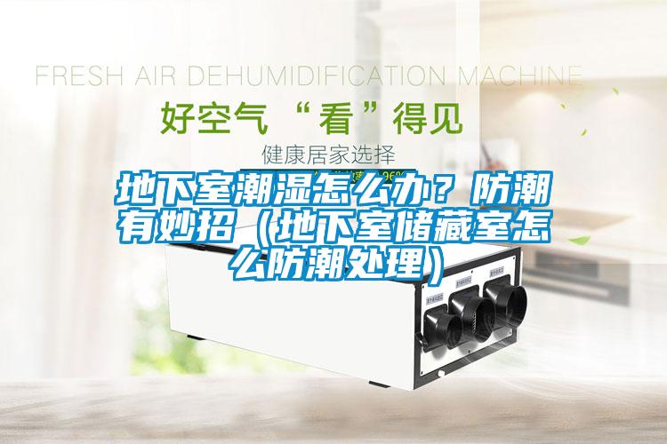 地下室潮濕怎么辦？防潮有妙招（地下室儲藏室怎么防潮處理）