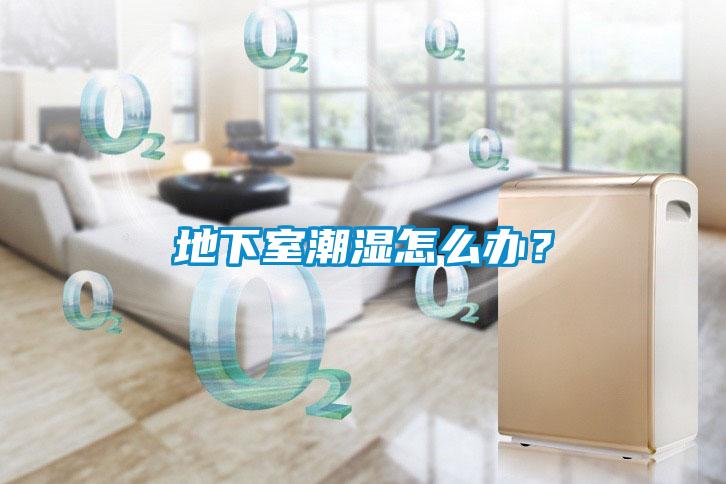 地下室潮濕怎么辦？