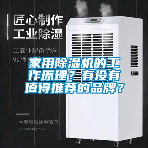 家用除濕機的工作原理？有沒有值得推薦的品牌？
