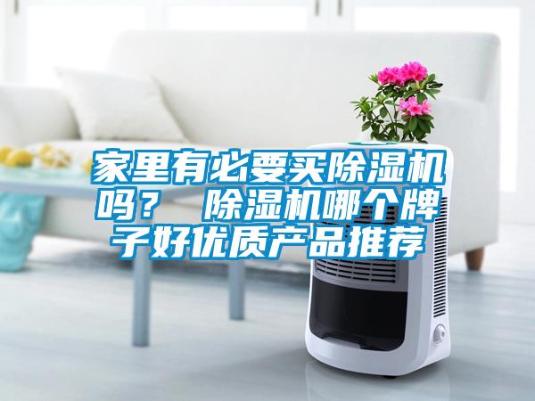 家里有必要買除濕機嗎？ 除濕機哪個牌子好優質產品推薦