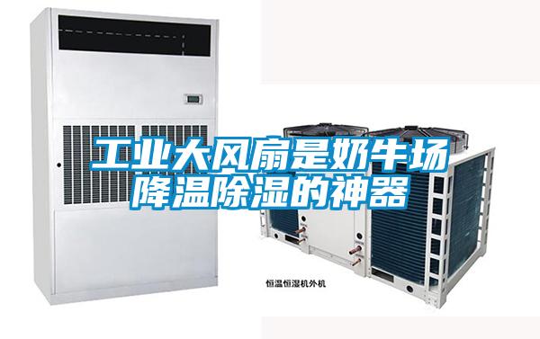工業大風扇是奶牛場降溫除濕的神器