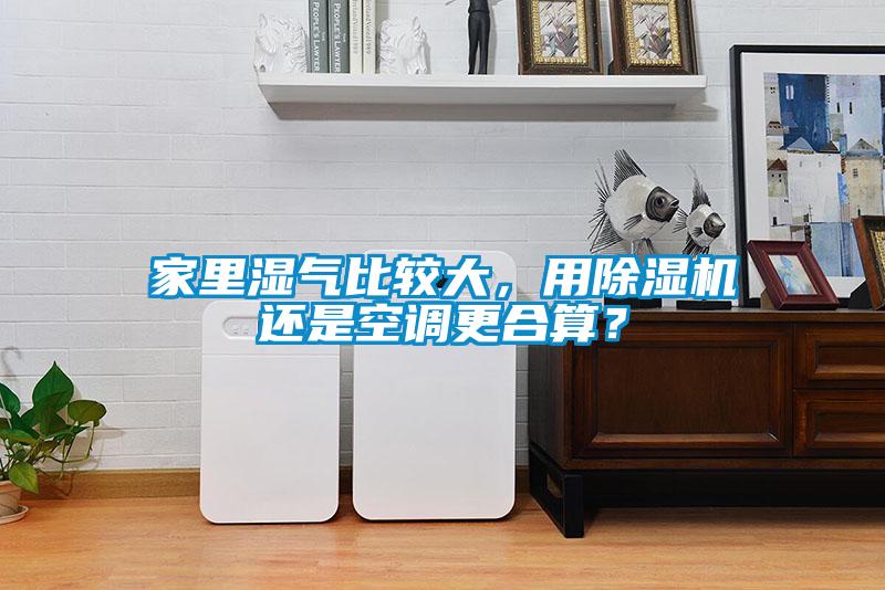 家里濕氣比較大，用除濕機還是空調更合算？