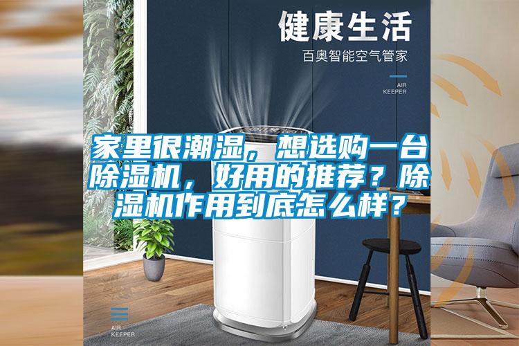 家里很潮濕，想選購一臺除濕機(jī)，好用的推薦？除濕機(jī)作用到底怎么樣？