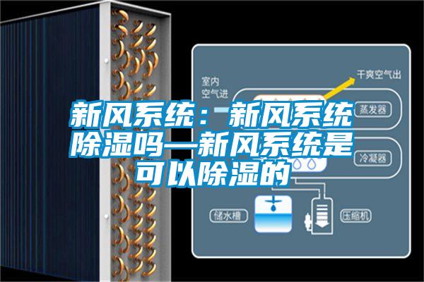 新風系統：新風系統除濕嗎—新風系統是可以除濕的