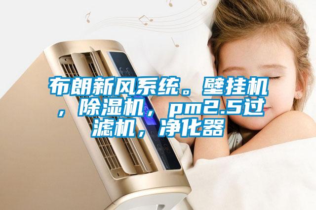 布朗新風(fēng)系統(tǒng)。壁掛機(jī)，除濕機(jī)，pm2.5過(guò)濾機(jī)，凈化器