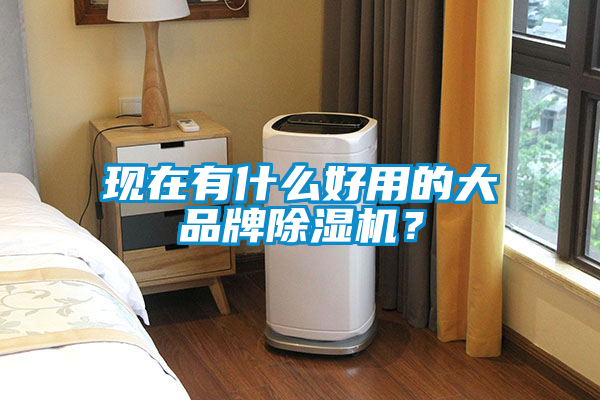 現在有什么好用的大品牌除濕機？