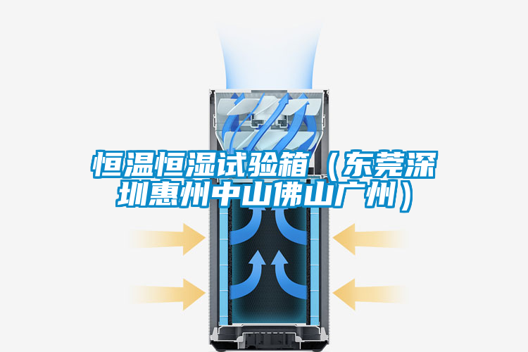 恒溫恒濕試驗(yàn)箱（東莞深圳惠州中山佛山廣州）
