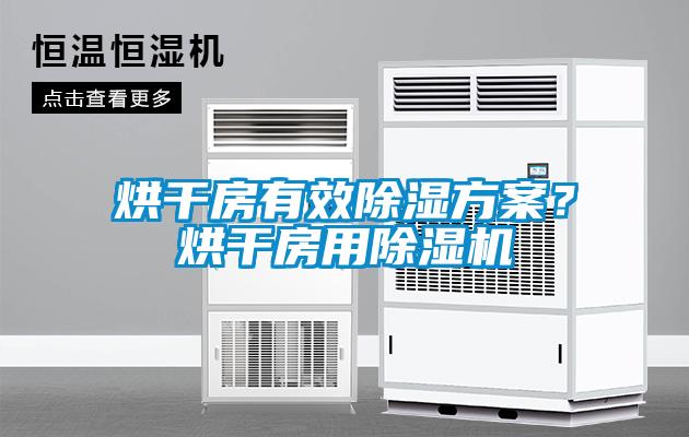 烘干房有效除濕方案？烘干房用除濕機(jī)