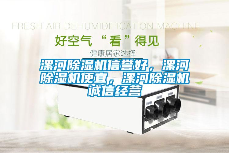 漯河除濕機(jī)信譽(yù)好，漯河除濕機(jī)便宜，漯河除濕機(jī)誠(chéng)信經(jīng)營(yíng)
