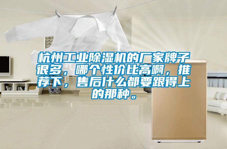 杭州工業(yè)除濕機(jī)的廠家牌子很多，哪個(gè)性價(jià)比高啊，推薦下，售后什么都要跟得上的那種。