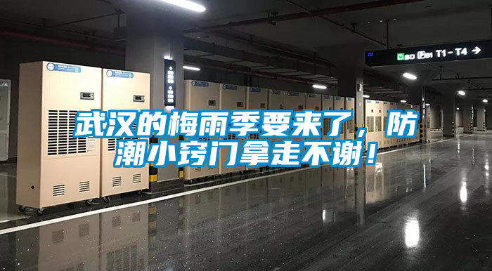 武漢的梅雨季要來了，防潮小竅門拿走不謝！