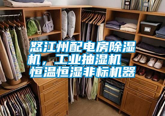 怒江州配電房除濕機，工業抽濕機  恒溫恒濕非標機器