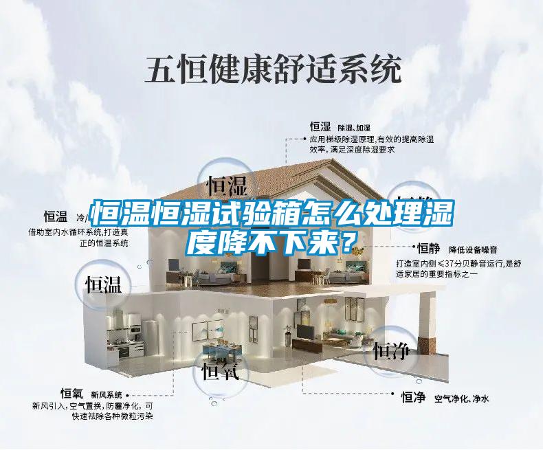 恒溫恒濕試驗箱怎么處理濕度降不下來？