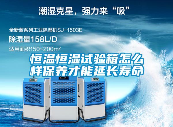 恒溫恒濕試驗(yàn)箱怎么樣保養(yǎng)才能延長壽命