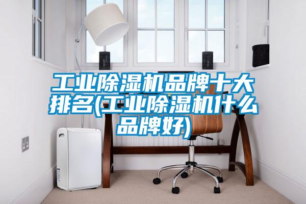 工業除濕機品牌十大排名(工業除濕機什么品牌好)
