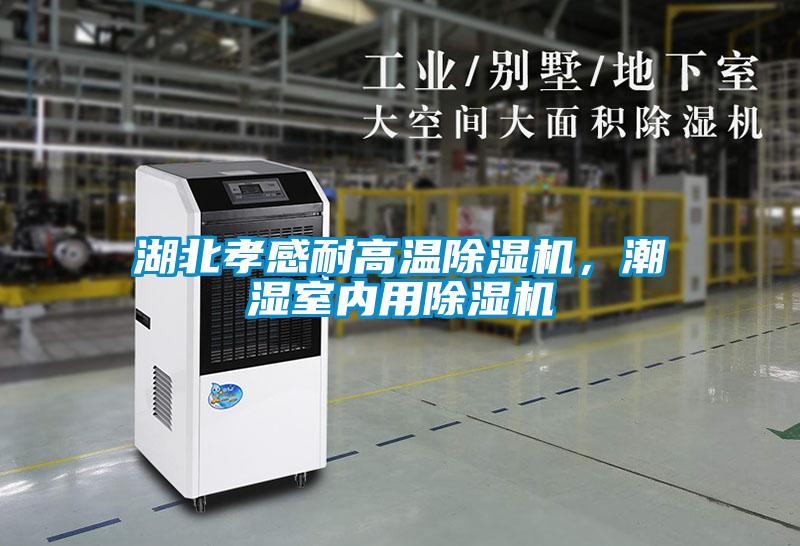 湖北孝感耐高溫除濕機，潮濕室內(nèi)用除濕機