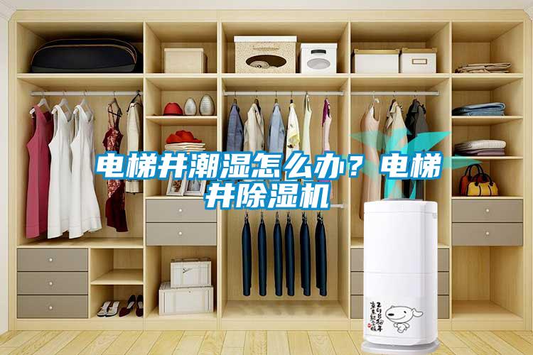 電梯井潮濕怎么辦？電梯井除濕機