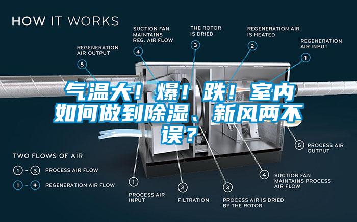氣溫大！爆！跌！室內如何做到除濕、新風兩不誤？