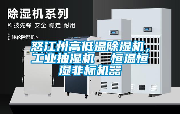 怒江州高低溫除濕機(jī)，工業(yè)抽濕機(jī)  恒溫恒濕非標(biāo)機(jī)器