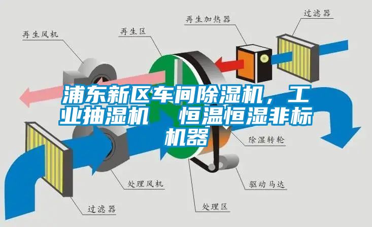 浦東新區(qū)車(chē)間除濕機(jī)，工業(yè)抽濕機(jī)  恒溫恒濕非標(biāo)機(jī)器