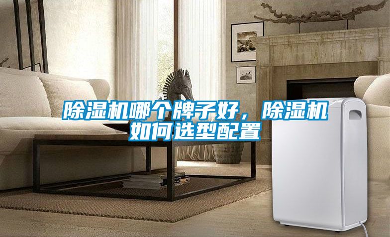 除濕機哪個牌子好，除濕機如何選型配置