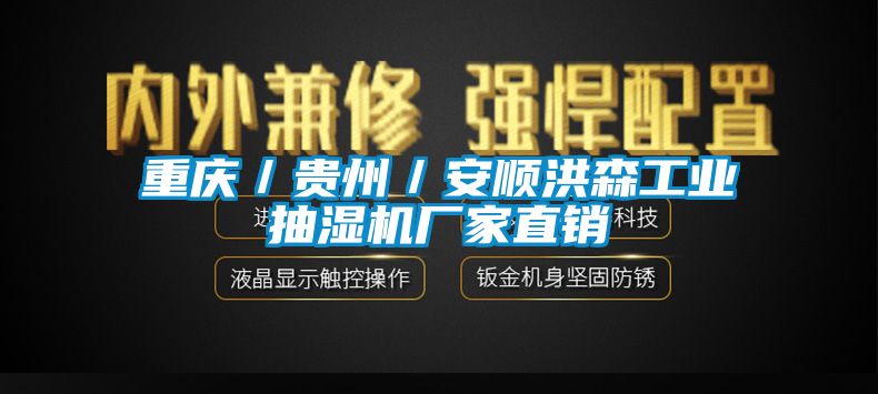 重慶／貴州／安順洪森工業(yè)抽濕機廠家直銷