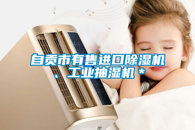 自貢市有售進(jìn)口除濕機(jī)、工業(yè)抽濕機(jī)＊