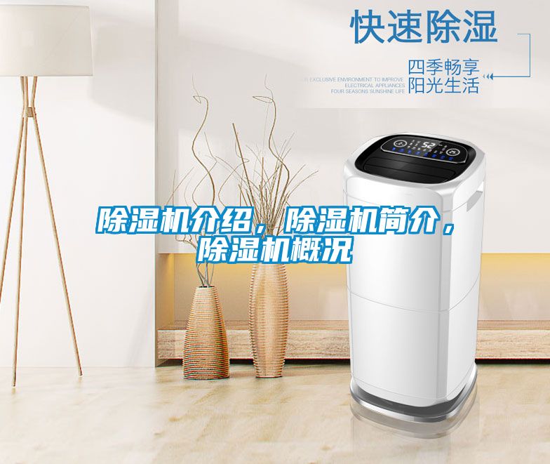 除濕機介紹，除濕機簡介，除濕機概況