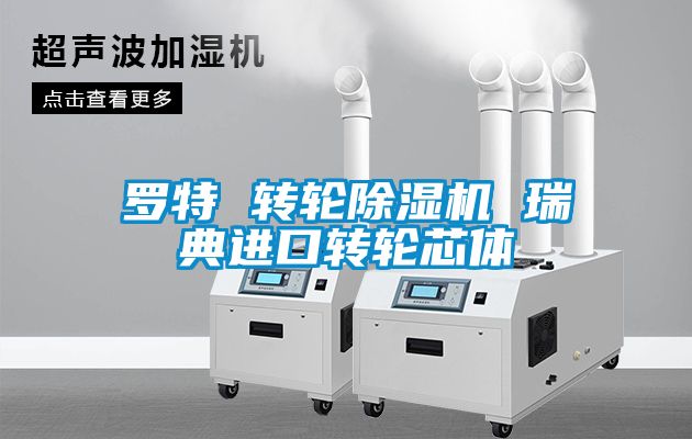 羅特 轉(zhuǎn)輪除濕機(jī) 瑞典進(jìn)口轉(zhuǎn)輪芯體
