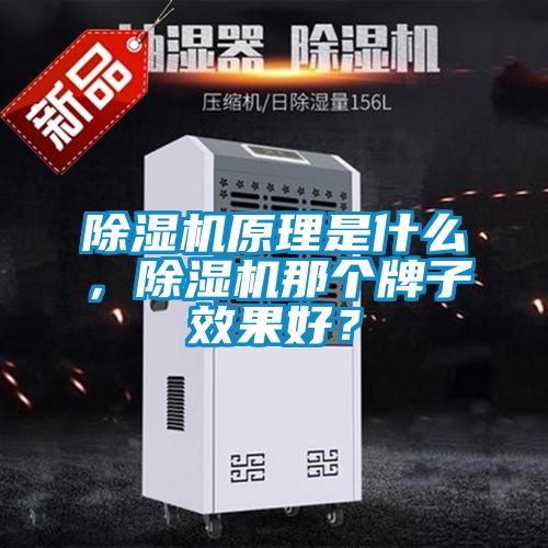 除濕機(jī)原理是什么，除濕機(jī)那個(gè)牌子效果好？