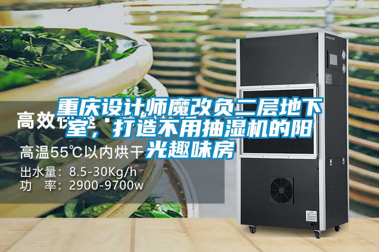 重慶設(shè)計(jì)師魔改負(fù)二層地下室，打造不用抽濕機(jī)的陽(yáng)光趣味房