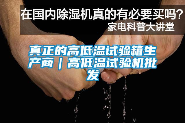 真正的高低溫試驗箱生產(chǎn)商｜高低溫試驗機(jī)批發(fā)