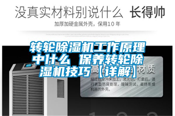 轉輪除濕機工作原理中什么 保養轉輪除濕機技巧【詳解】