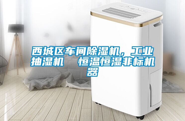 西城區(qū)車間除濕機，工業(yè)抽濕機  恒溫恒濕非標機器