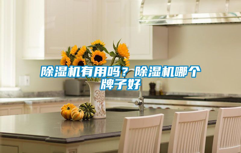 除濕機有用嗎？除濕機哪個牌子好