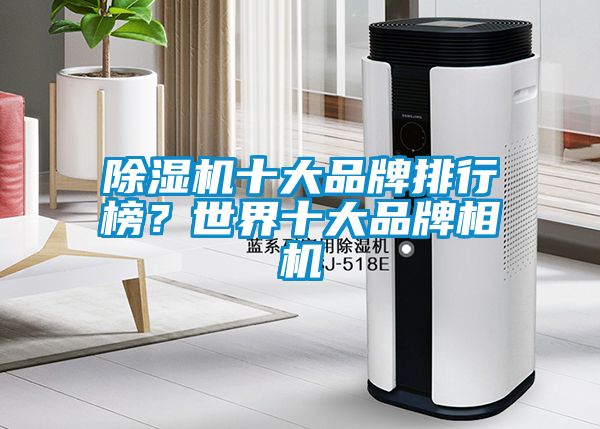除濕機十大品牌排行榜？世界十大品牌相機