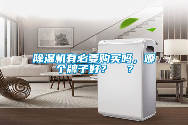 除濕機有必要購買嗎，哪個牌子好？  ？
