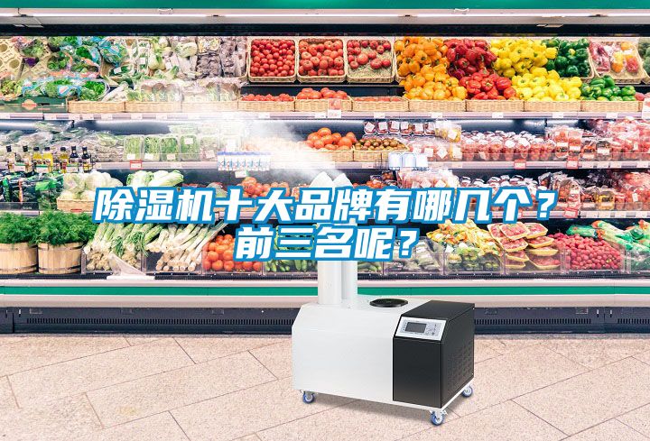 除濕機十大品牌有哪幾個？前三名呢？