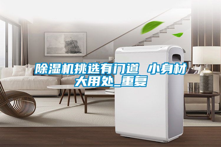 除濕機(jī)挑選有門(mén)道 小身材大用處_重復(fù)