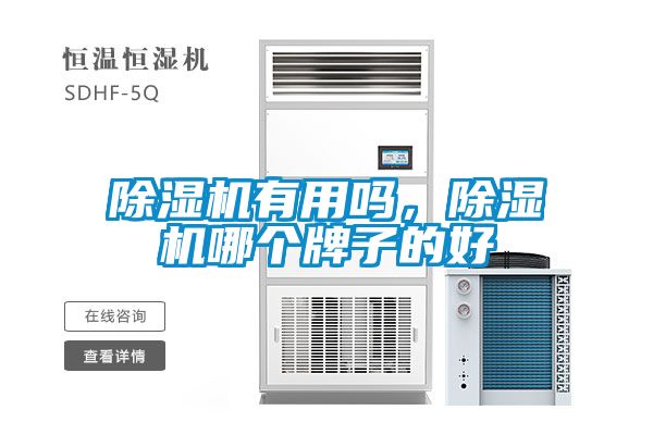 除濕機有用嗎，除濕機哪個牌子的好