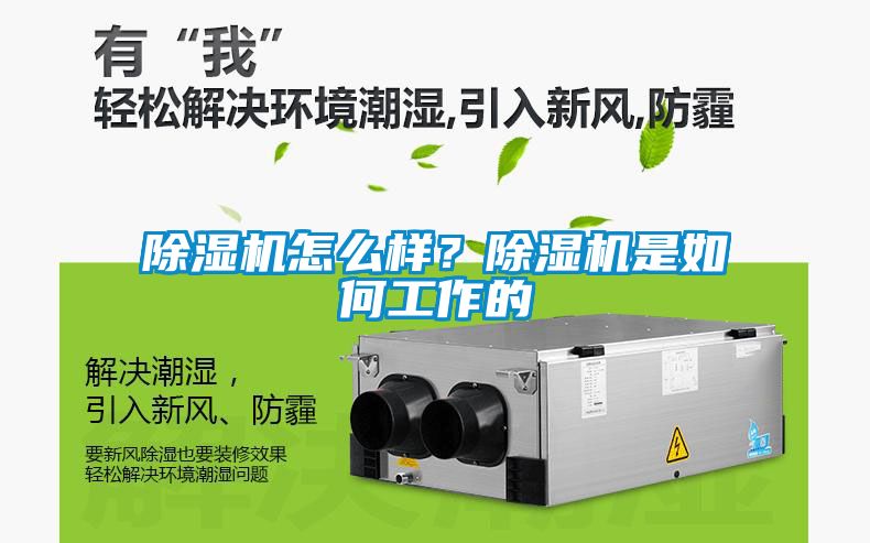 除濕機怎么樣？除濕機是如何工作的