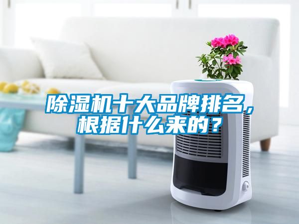 除濕機十大品牌排名，根據什么來的？