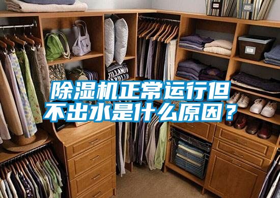 除濕機正常運行但不出水是什么原因？