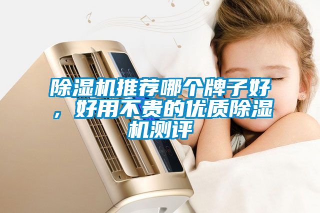 除濕機(jī)推薦哪個牌子好，好用不貴的優(yōu)質(zhì)除濕機(jī)測評