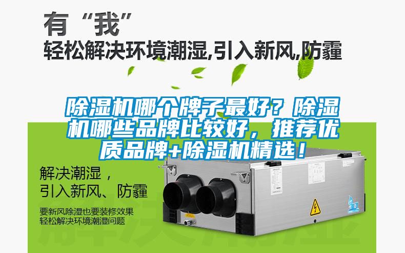 除濕機(jī)哪個(gè)牌子最好？除濕機(jī)哪些品牌比較好，推薦優(yōu)質(zhì)品牌+除濕機(jī)精選！