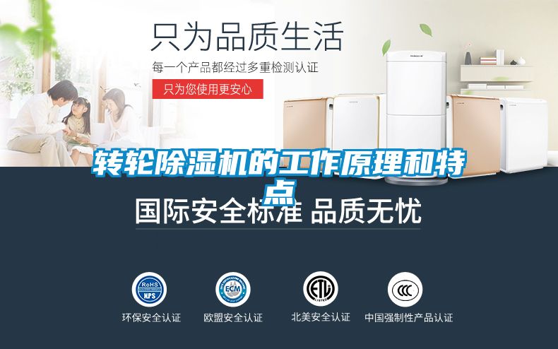 轉(zhuǎn)輪除濕機的工作原理和特點